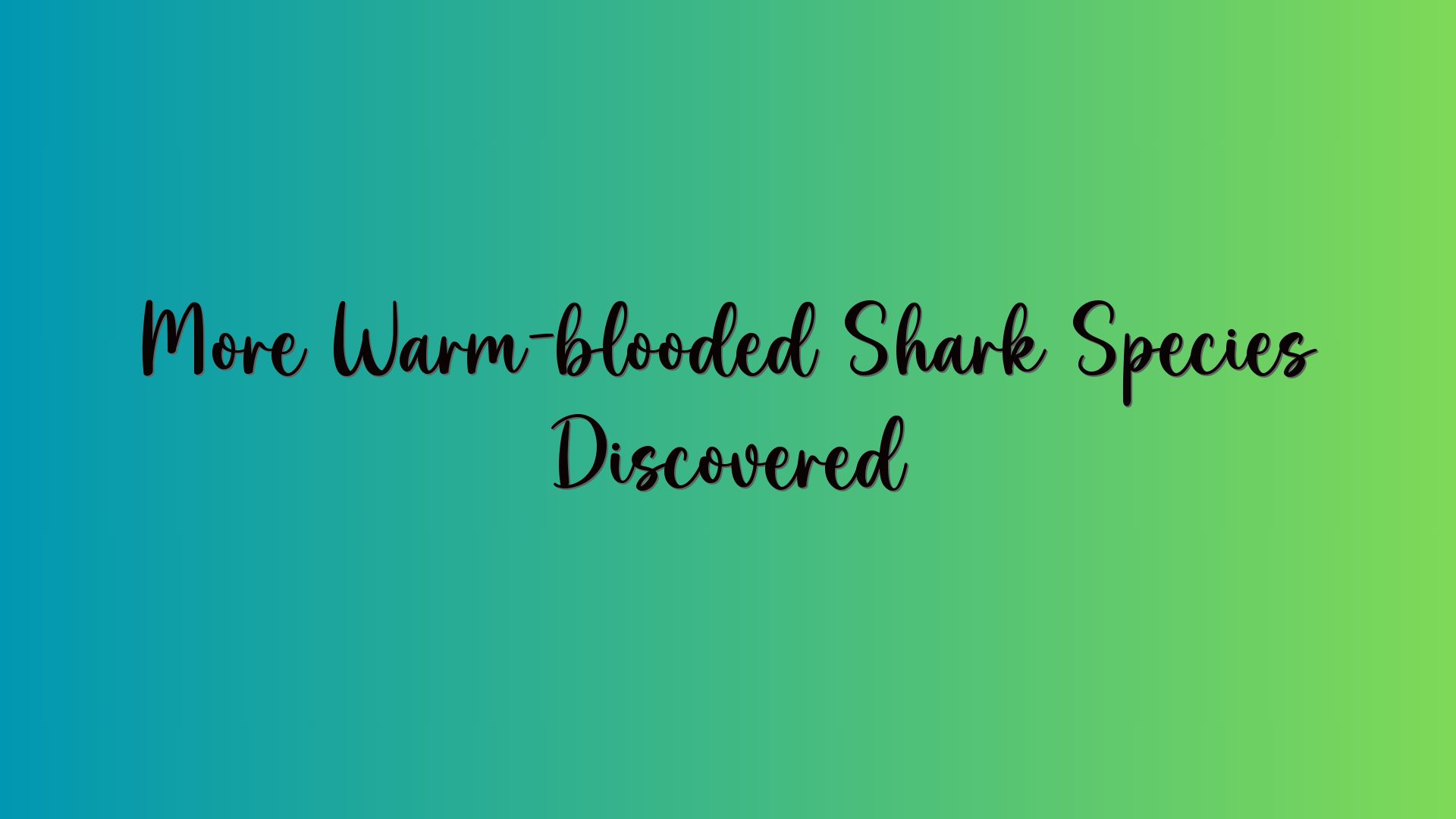 More Warm-blooded Shark Species Discovered